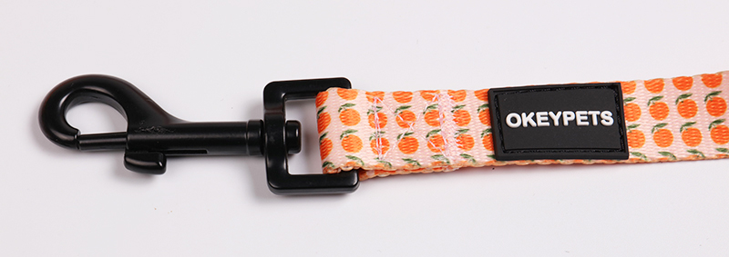 OKEYPETS Ensemble harnais réversible mignon par sublimation, laisse confortable et collier pour chien 11