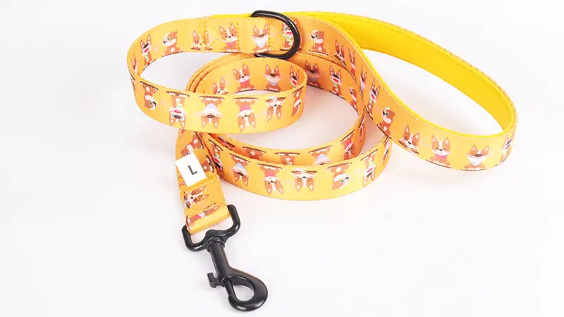 Laisse pour chien OKEYPETS de haute qualité avec poignées rembourrées en néoprène résistant 1