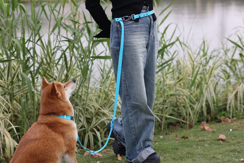 Laisse double étanche en PVC sur mesure pour chiens de petite et moyenne taille. 6