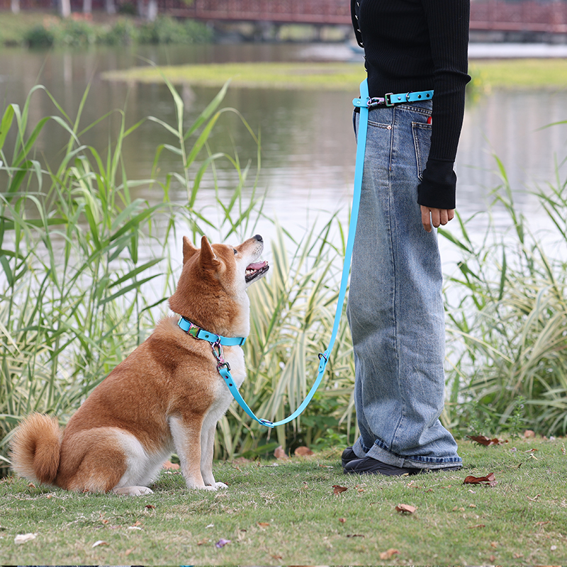 Laisse double étanche en PVC sur mesure pour chiens de petite et moyenne taille. 8