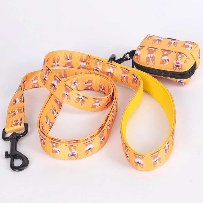 Laisse pour chien OKEYPETS de haute qualité avec poignées rembourrées en néoprène résistant 9