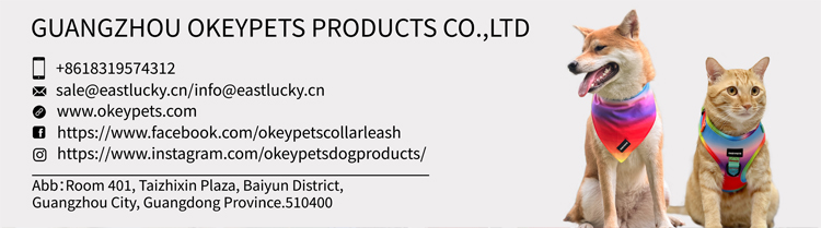 Laisse pour chien OKEYPETS de haute qualité avec poignées rembourrées en néoprène résistant 18