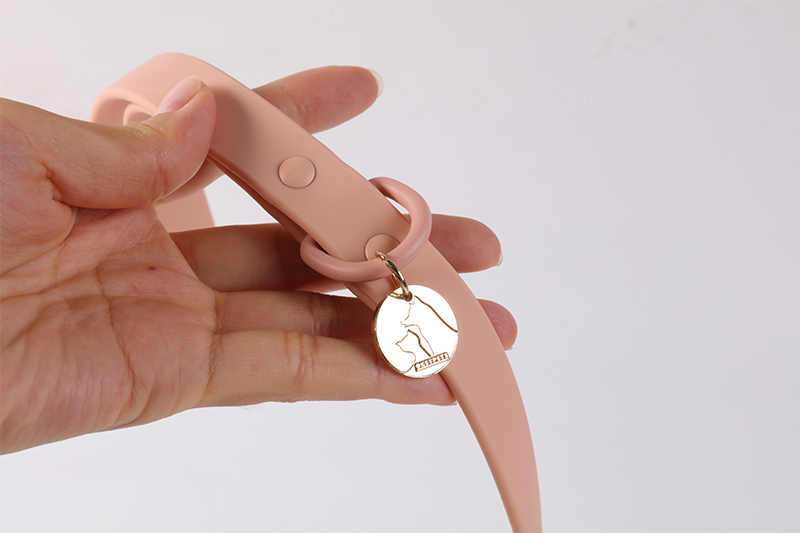 PVC hundehalsbånd og snor Justerbart metaltilbehør Silikone kæledyrshalsbånd til hund 11