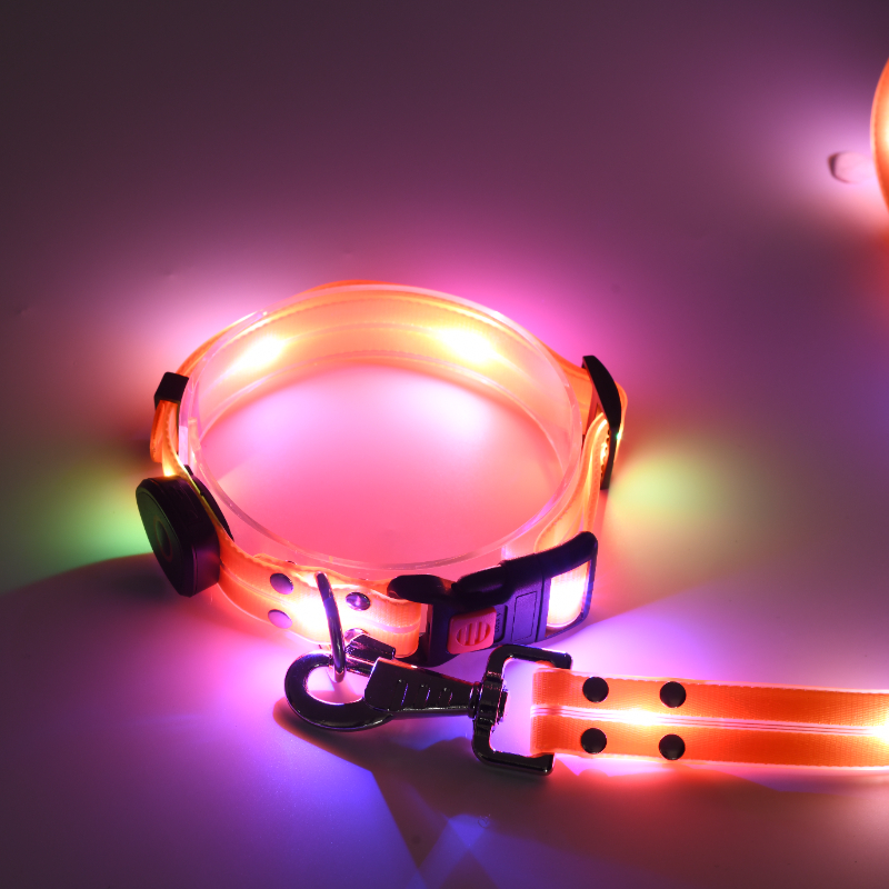 Laisse et collier lumineux LED pour chien, rechargeables et étanches, phosphorescents. 16