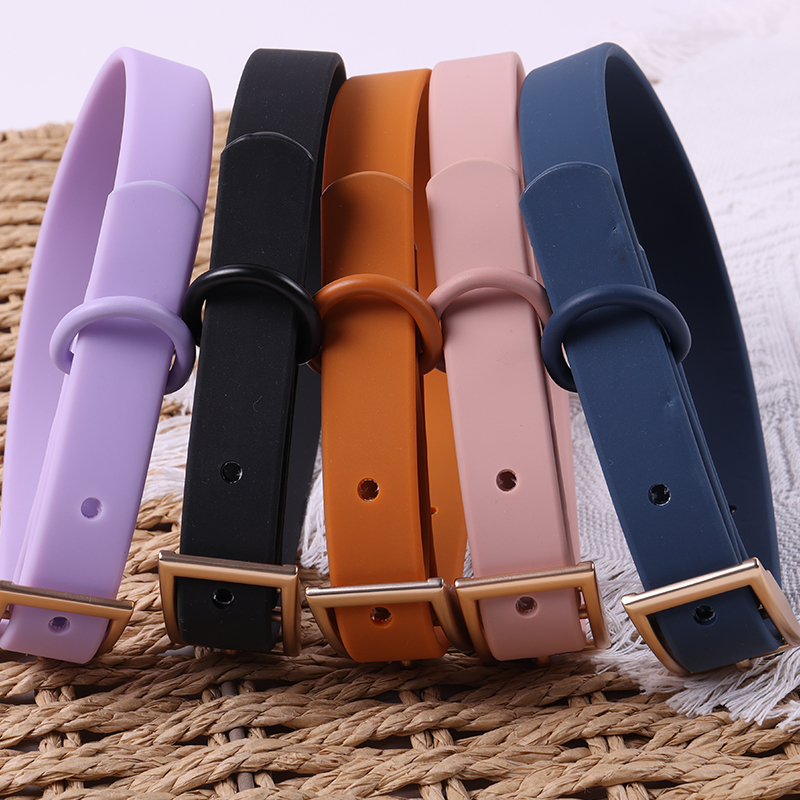 Twoje niezrozumienie obroży może również zaszkodzić psom 2