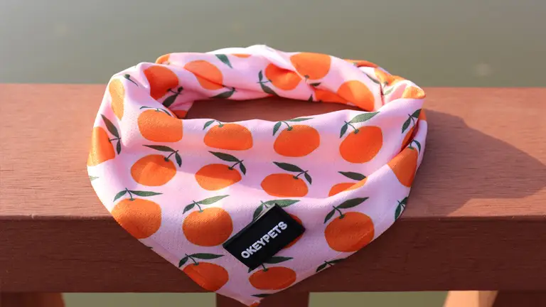 OKEYPETS sublimacijski varnostni šal za vrat, mehak, dihajoč, trikotni modni dizajn, šal za hišne ljubljenčke in pse, bandana 1