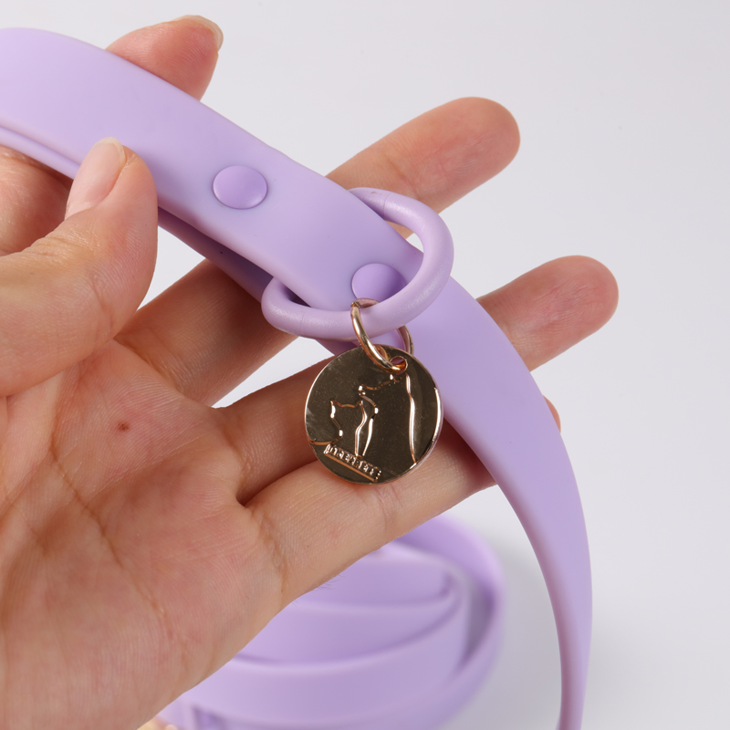 Ensemble collier et laisse en PVC pour chien, collier et laisse personnalisés en silicone tendance pour chiens de grande, moyenne et petite taille 11