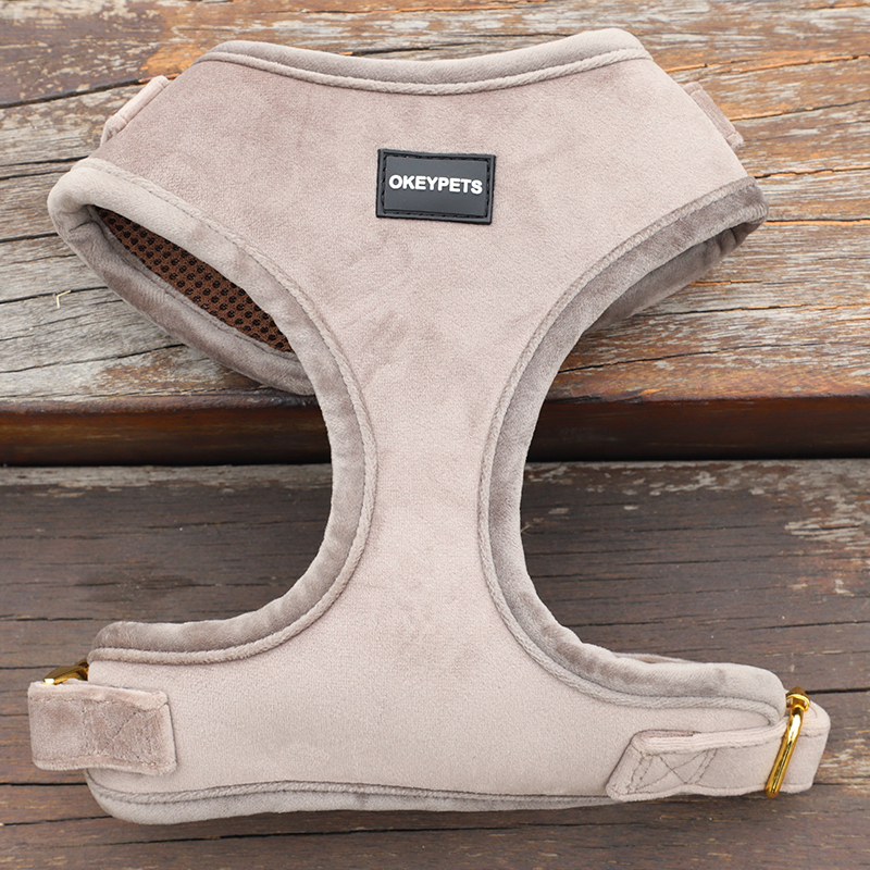 Fløjls hundeselesæt farverigt blankt komplet sæt komfortabelt kæledyrsselehalsbånd 9