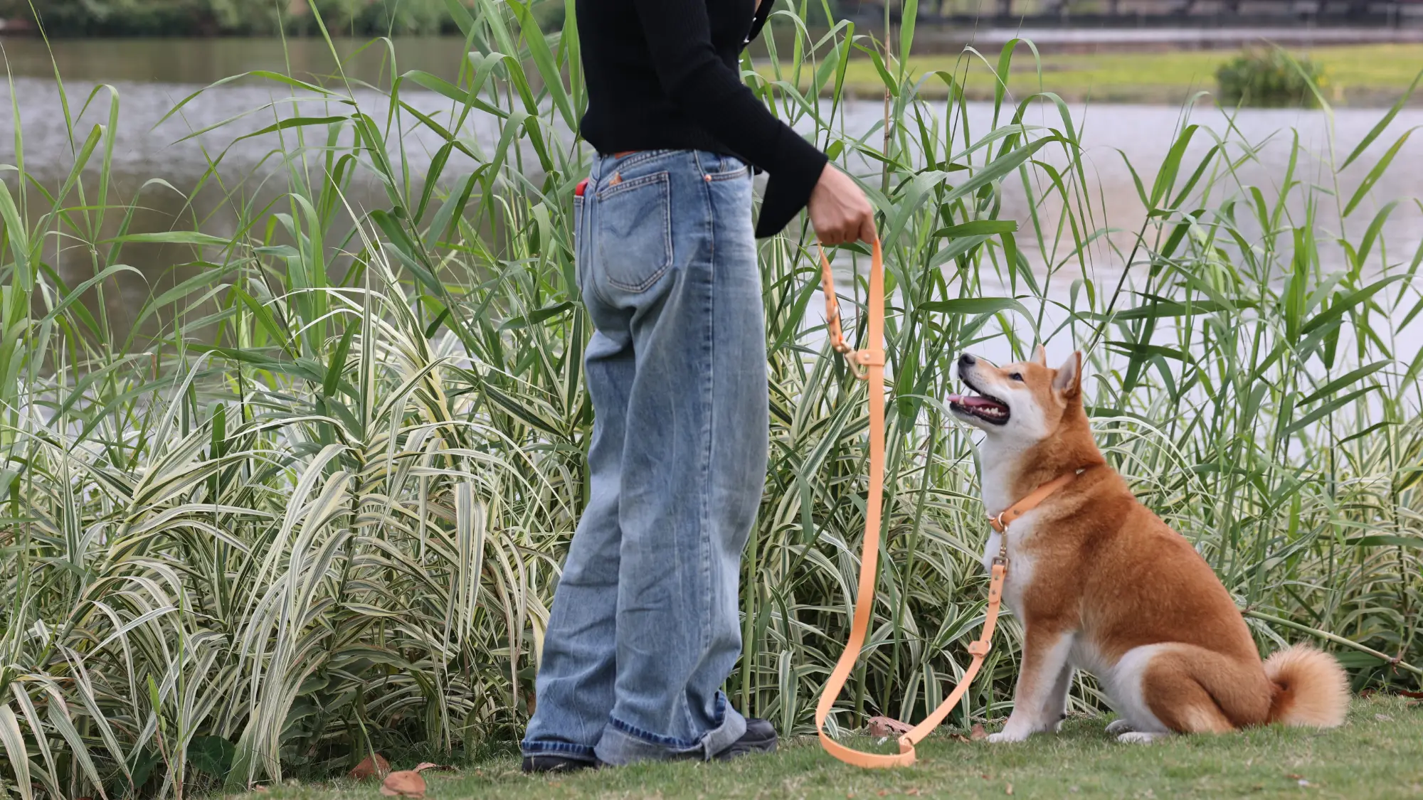 핸즈프리 강아지 목줄 (파란색, 고강도 긴 크로스바디 허리끈, PVC 소재) 1