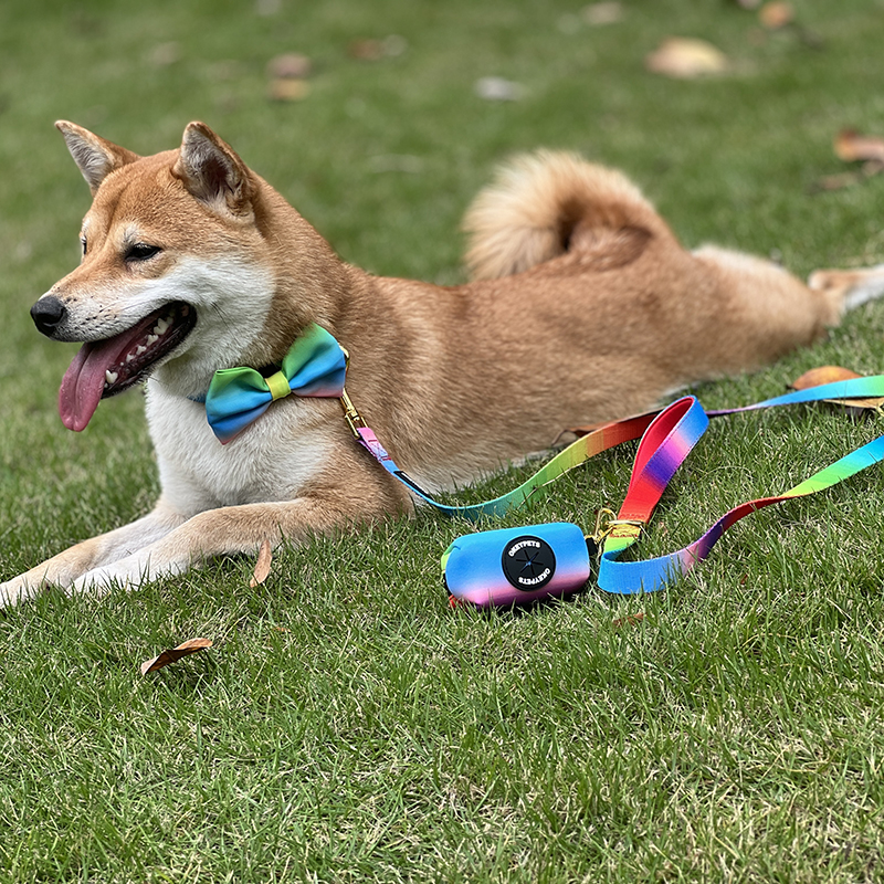 OKEYPETS - Brugerdefineret privat mærke trykt hundesnor hurtigudløsende lynlås personlig hundeposeholder snor miljøvenlig kæledyrssnor 8