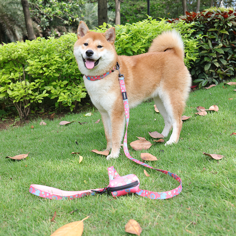 OKEYPETS - OKEYPETS Engros Miljøvenlig Hundeafføringspose Holder Neopren Med Udskylbar Hundeafføringspose Neopren Hundeafføringspose Holder 8