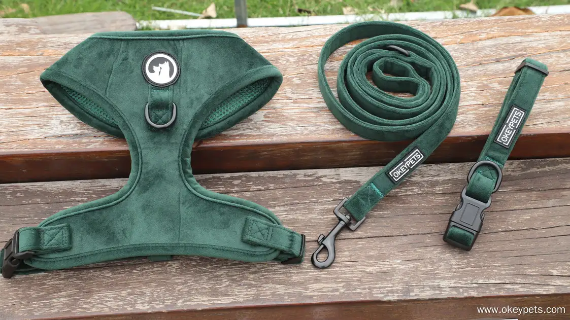 Fløjls-selesæt til hunde, grønt, moderigtigt, luksuriøst halsbånd til små, mellemstore racer 1