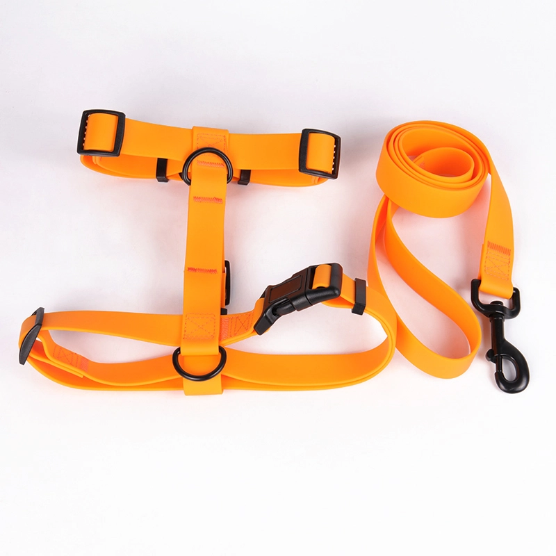 Collier pour chien OKEYPETS léger en PVC orange vif pour l'extérieur 10