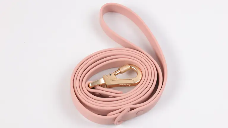 Collier pour chien imperméable en PVC personnalisé en gros avec étiquette nominative, nouveau design, collier de luxe durable pour les promenades en extérieur 1