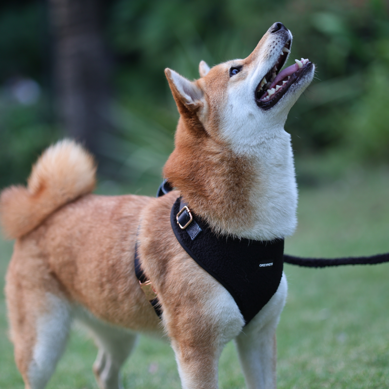 Harnais pour chien personnalisé multicolore en laine polaire douce d'agneau, ensemble de harnais assortis 19