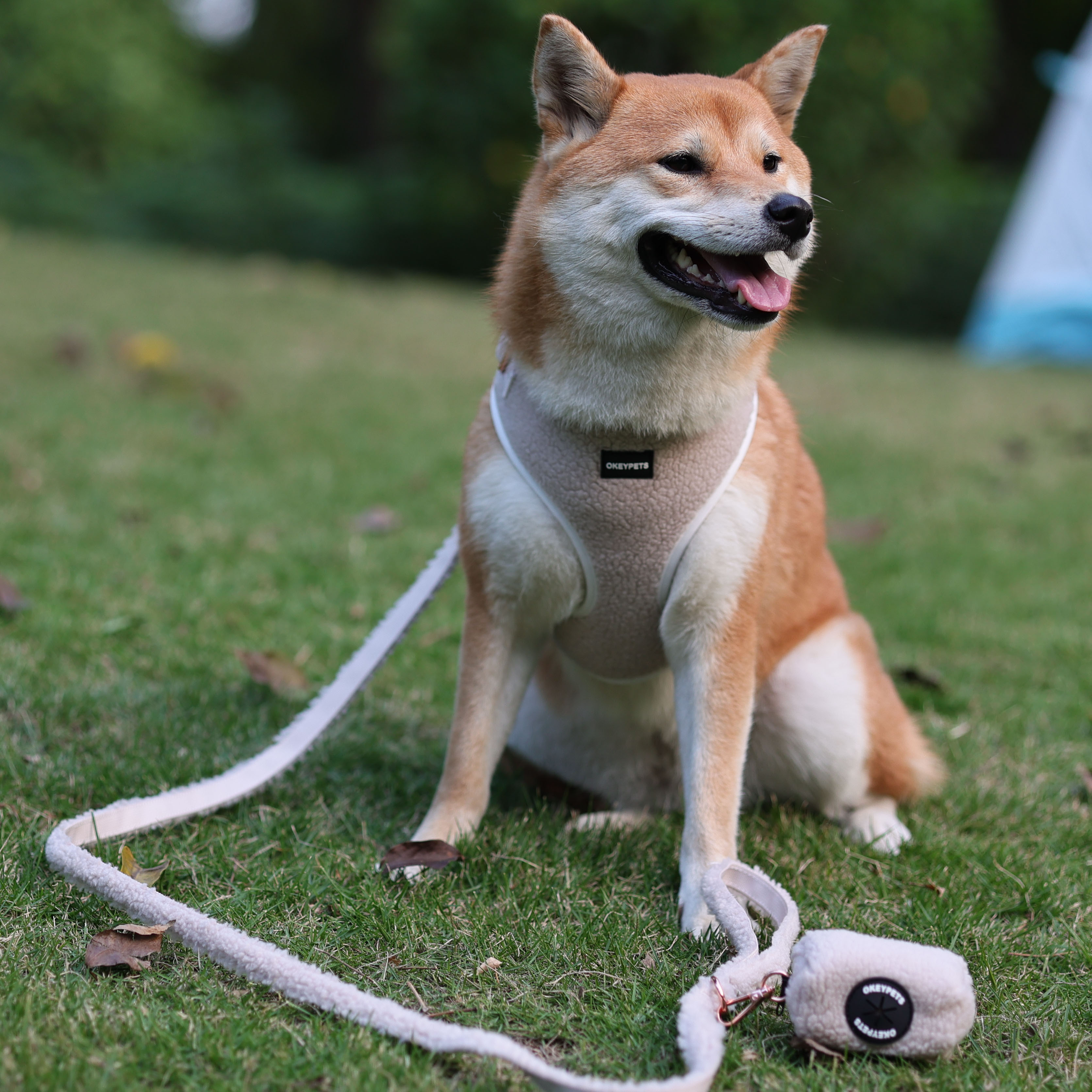 Harnais pour chien personnalisé multicolore en laine polaire douce d'agneau, ensemble de harnais assortis 18