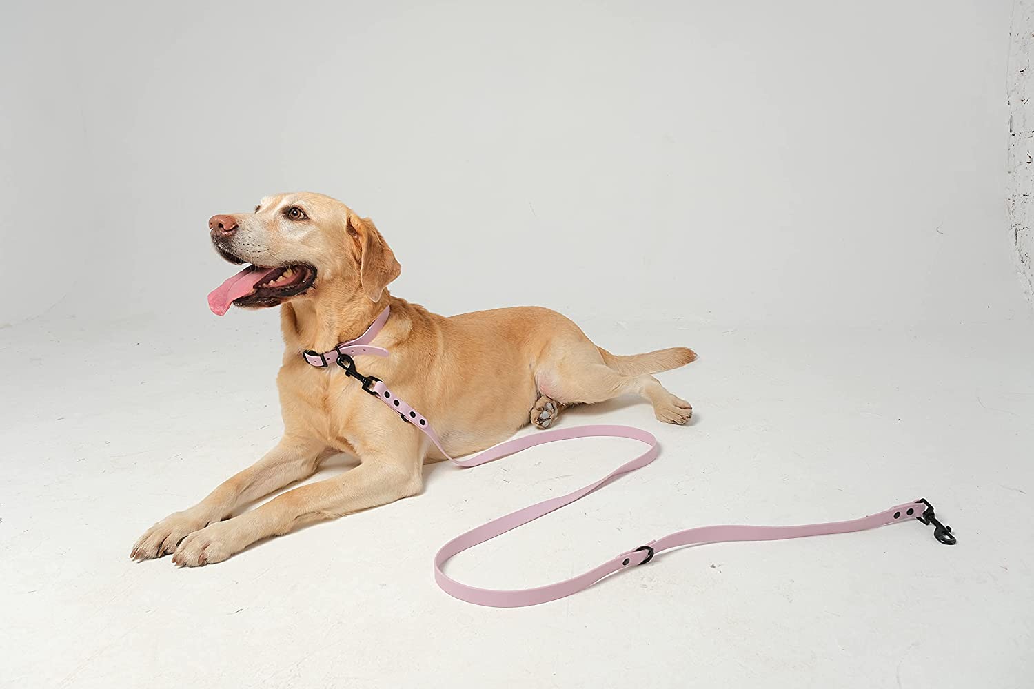 Kolar Anjing PVC Rintangan Tegangan Kolar Anjing Gesper Logam 8