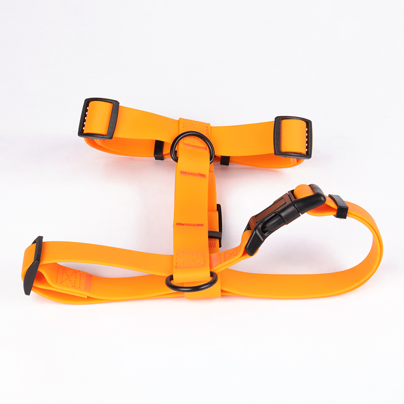 Kolar Anjing PVC Rintangan Tegangan Kolar Anjing Gesper Logam 19