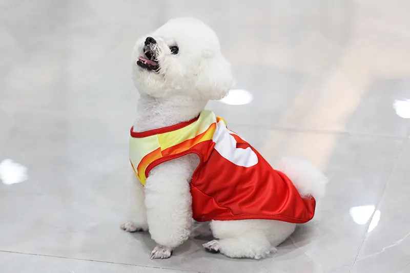 Maillot de football pour chien - Matière de haute qualité, tailles personnalisées, livraison rapide 3