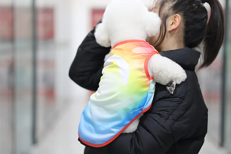 Maillot de football pour chien - Matière de haute qualité, tailles personnalisées, livraison rapide 2