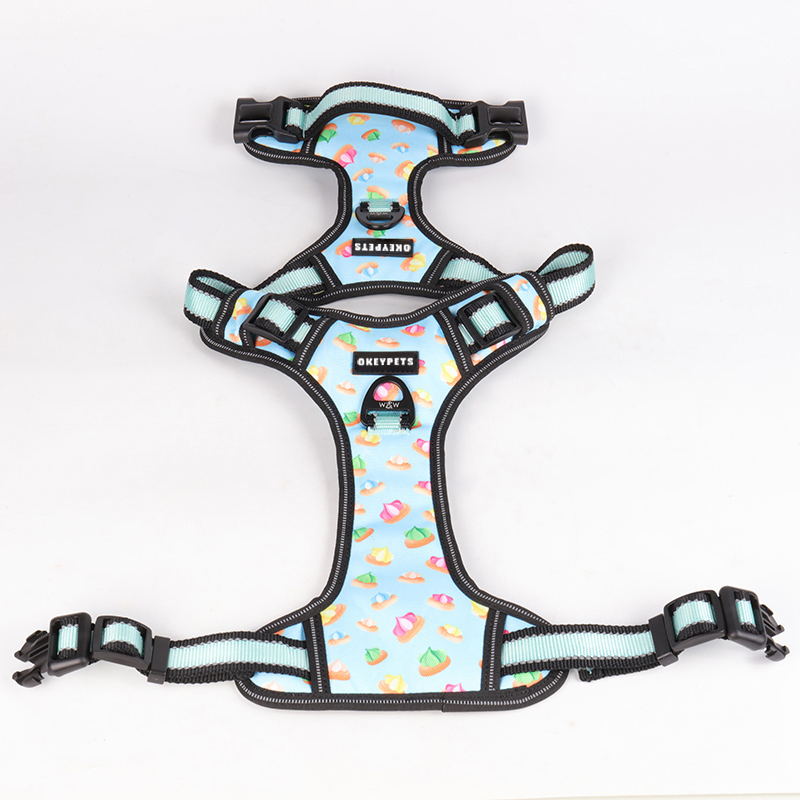 Harnais réfléchissants légers pour chiens : la meilleure façon de rendre votre chien visible 10