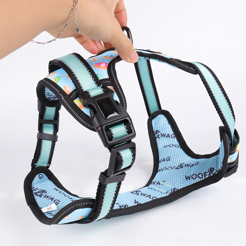 Harnais réfléchissants légers pour chiens : la meilleure façon de rendre votre chien visible 9