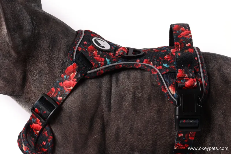 Custom lightweight dog harness factory Manufacturer | OKEYPETS 6