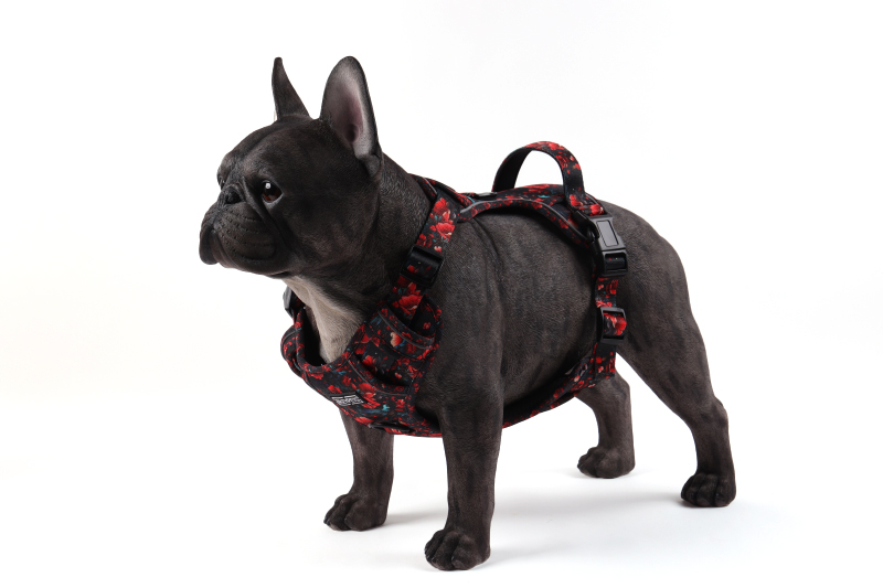 OKEYPETS Harnais de transport souple personnalisé pour chien 15