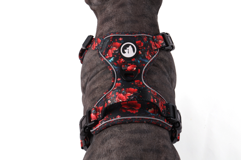 OKEYPETS Harnais de transport souple personnalisé pour chien 18