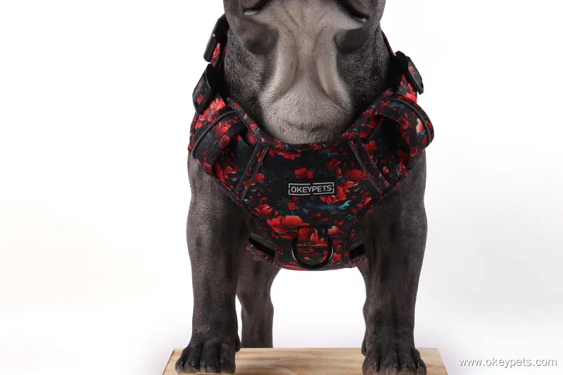Custom lightweight dog harness factory Manufacturer | OKEYPETS 7