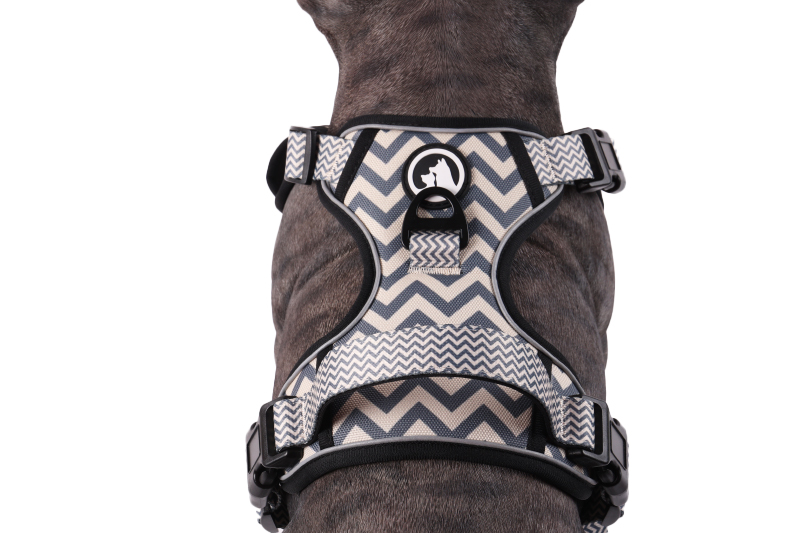 OKEYPETS Harnais de transport souple personnalisé pour chien 28