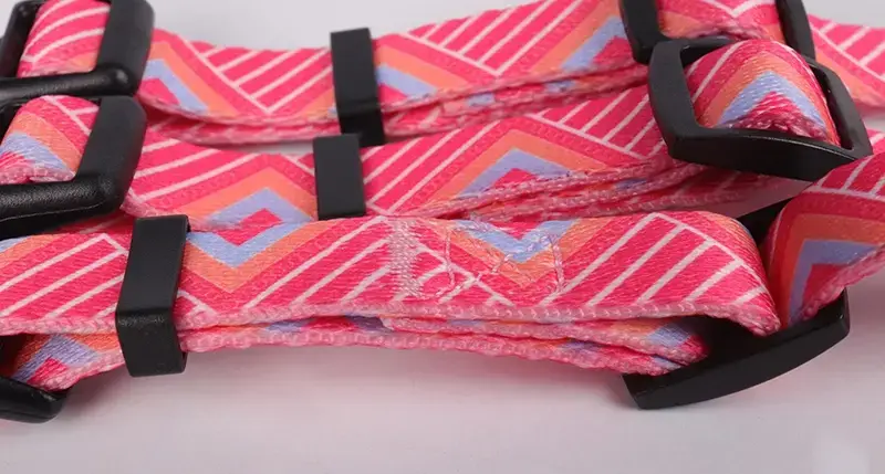 Okeypetsの快適な屋外用犬用首輪 4