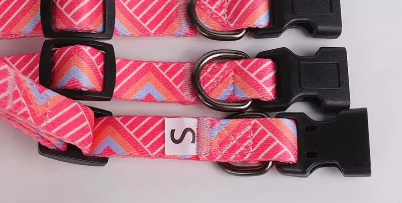 Okeypetsの快適な屋外用犬用首輪 5