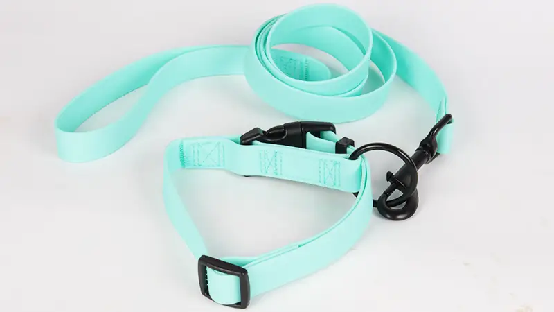 Collier pour chien en PVC vert menthe, couleur personnalisable, vente en gros 1