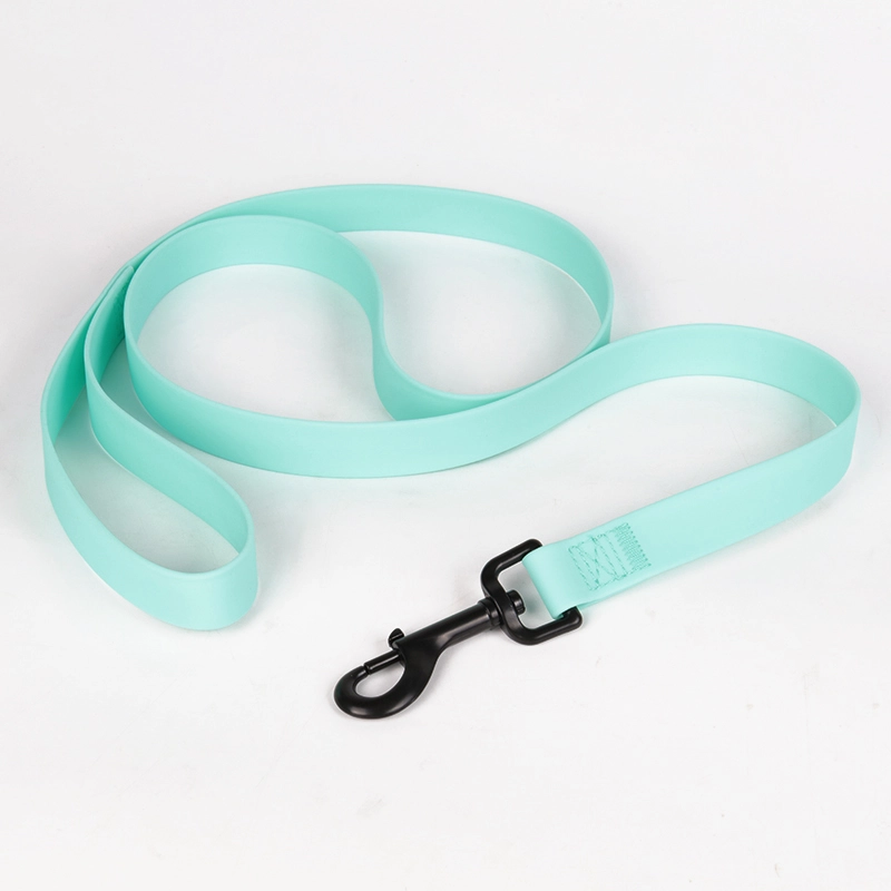 Collier pour chien en PVC vert menthe, couleur personnalisable, vente en gros 5