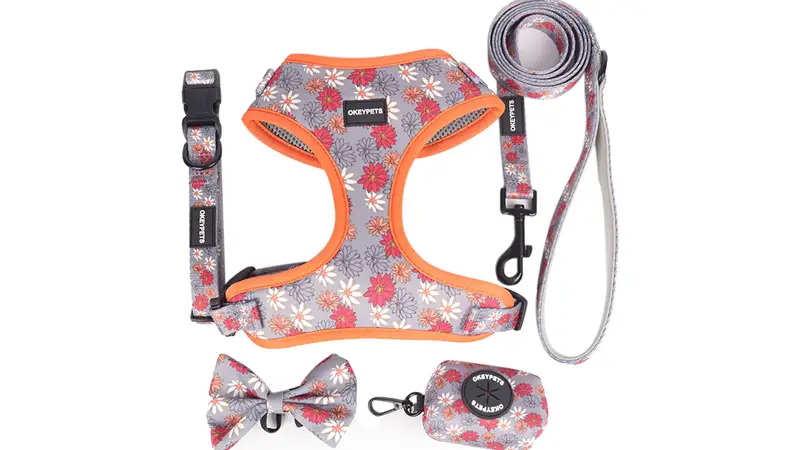 Set Abah-abah Anjing OKEYPETS untuk Larian Luar, Borong, Set Abah-abah Haiwan Peliharaan Anjing, Pelindung ... 1