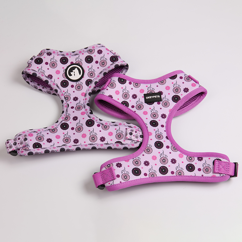 Fabricants de harnais pour chiens : Harnais en néoprène anti-traction pour chiots mignons 7