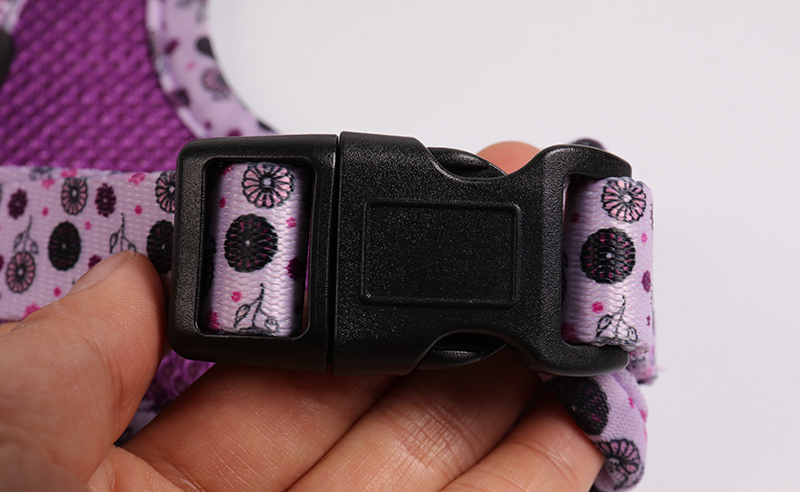 Fabricants de harnais pour chiens : Harnais en néoprène anti-traction pour chiots mignons 12