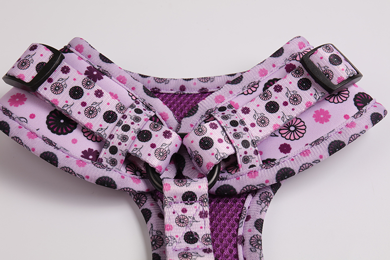 Fabricants de harnais pour chiens : Harnais en néoprène anti-traction pour chiots mignons 11