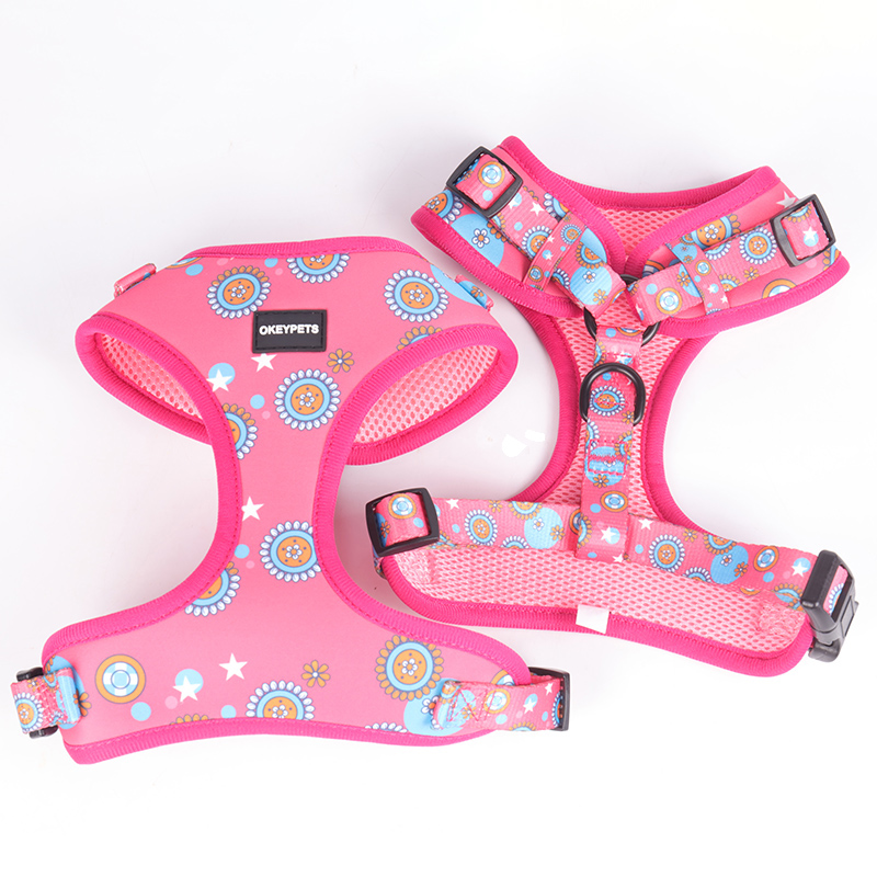 Harnais coloré pour chiot OKEYPETS, harnais de poitrine en maille douce et respirante pour chien 15