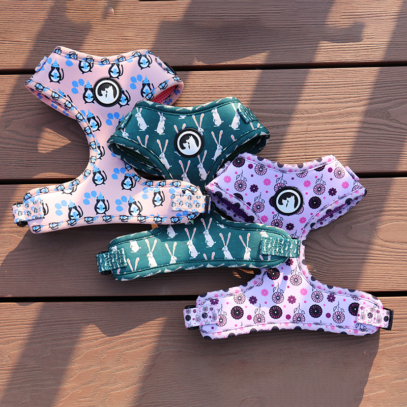 Fabricant de harnais pour chiens personnalisés - Harnais pour chien en néoprène imprimé avec anneau en D 8