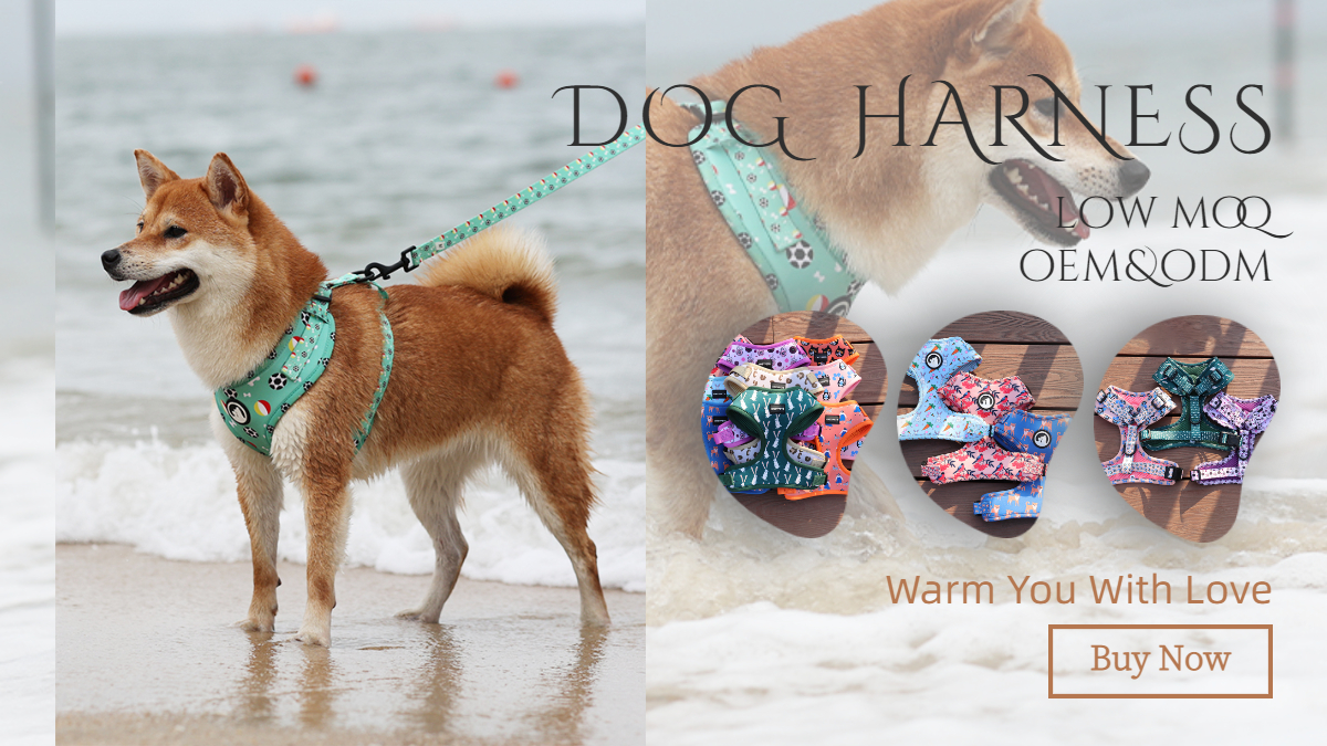 Harnais pour chien écologique à enfiler, en maille aérée colorée avec attache avant. 7