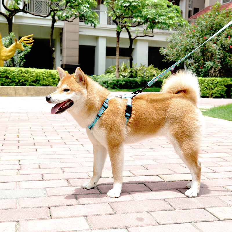 Fabricant chinois de harnais pour chiens à sangle réglable, harnais pour animaux de compagnie à motifs personnalisés à vendre 7