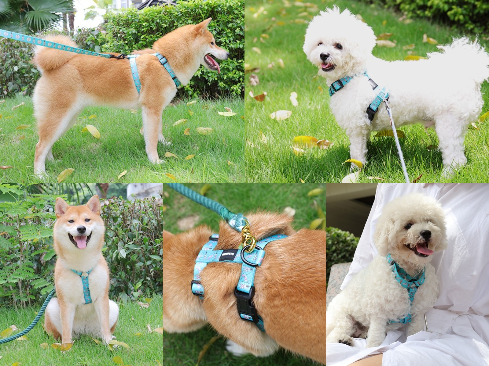 Fabricant chinois de harnais pour chiens à sangle réglable, harnais pour animaux de compagnie à motifs personnalisés à vendre 20