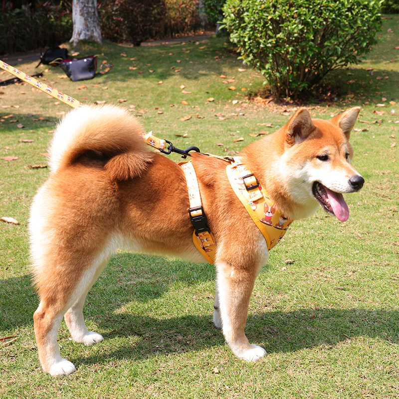 Low MOQ Dog Harness Manufacturer Breathable Washable Step In Dog Chest Harness 8