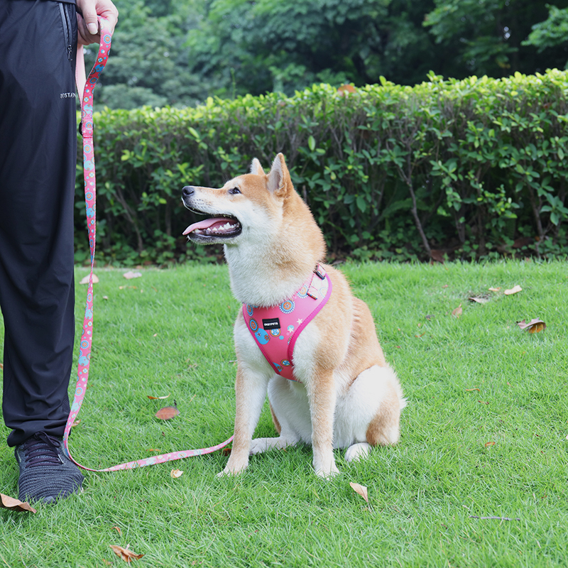 Harnais réversible anti-traction pour chien, gilet pour animaux de compagnie imprimé par sublimation, vente en gros 7