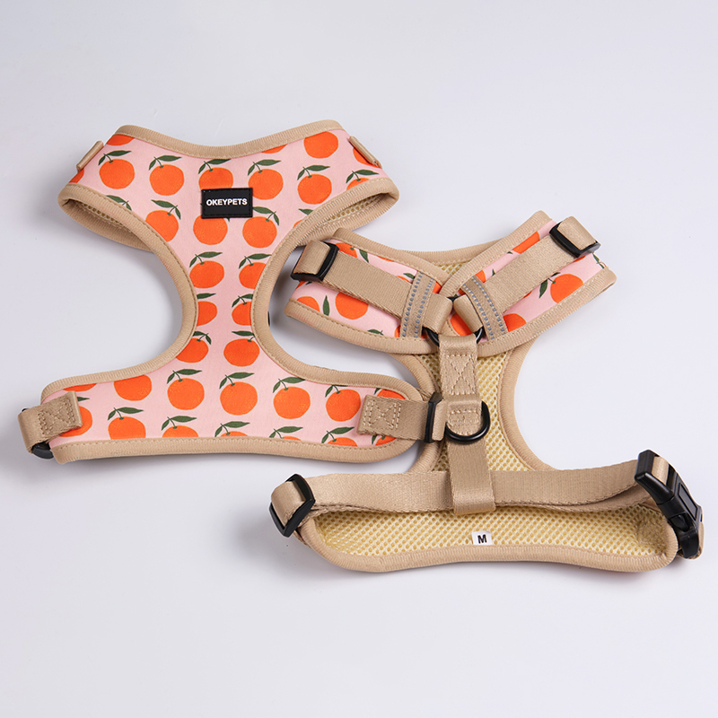 Fabricant de harnais pour chiots mignons sans traction à motifs imprimés 7