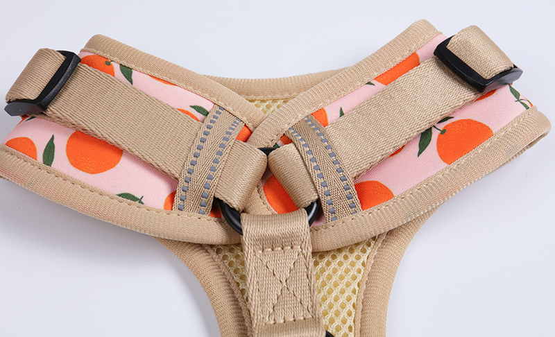 Fabricant de harnais pour chiots mignons sans traction à motifs imprimés 11