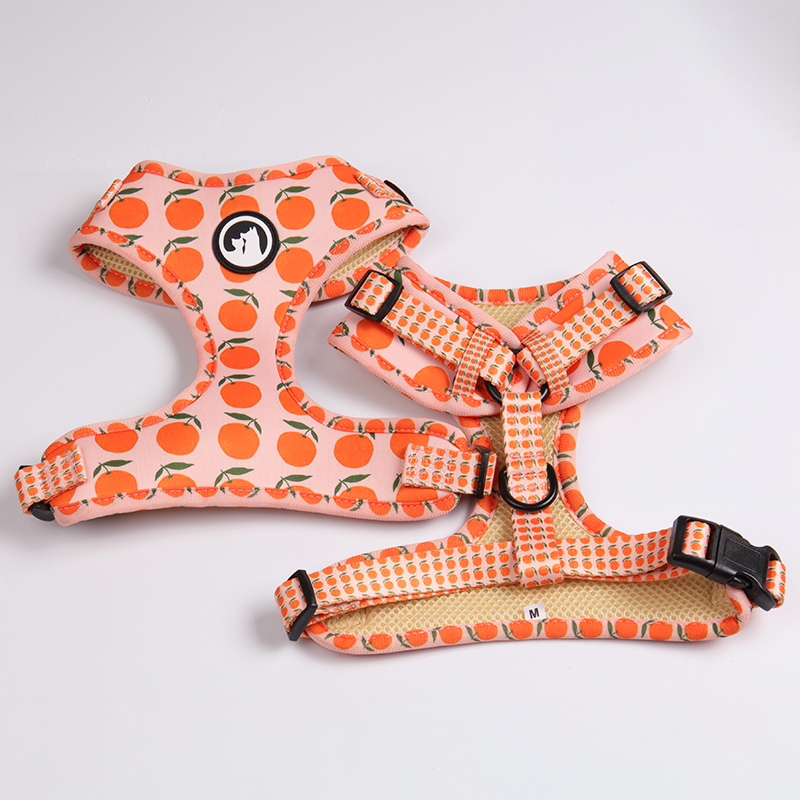 Harnais pour chien OKEYPETS Step-in - Harnais léger en maille aérée, personnalisable, pour chien 7