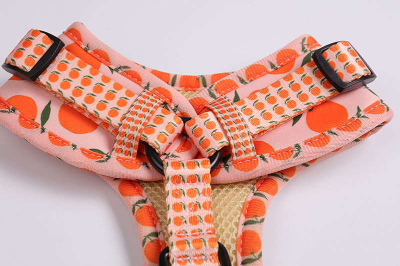 Harnais pour chien OKEYPETS Step-in - Harnais léger en maille aérée, personnalisable, pour chien 11